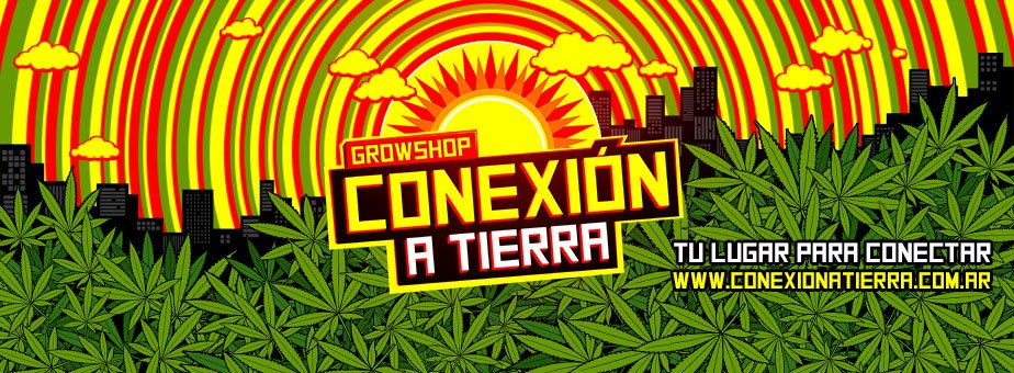10 AÑOS CULTIVANDO JUNTOS