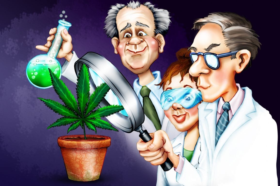 Medición