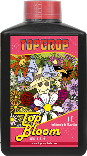 Top Bloom