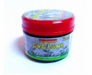 Cyclone
