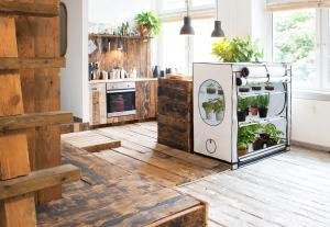 Homebox Ambient