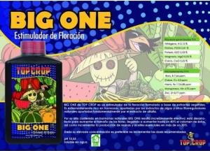Big One