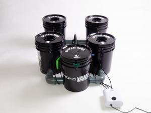 DWC Bioproyect 